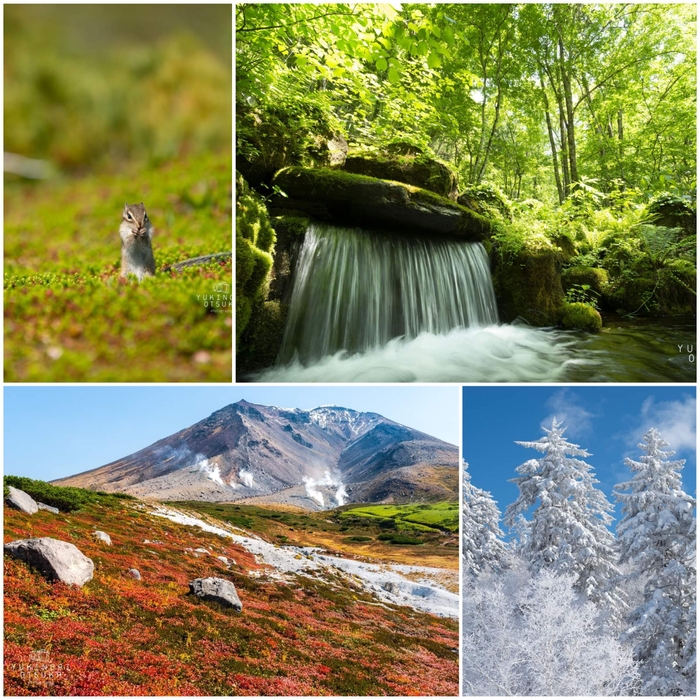 ■写真の町 東川町