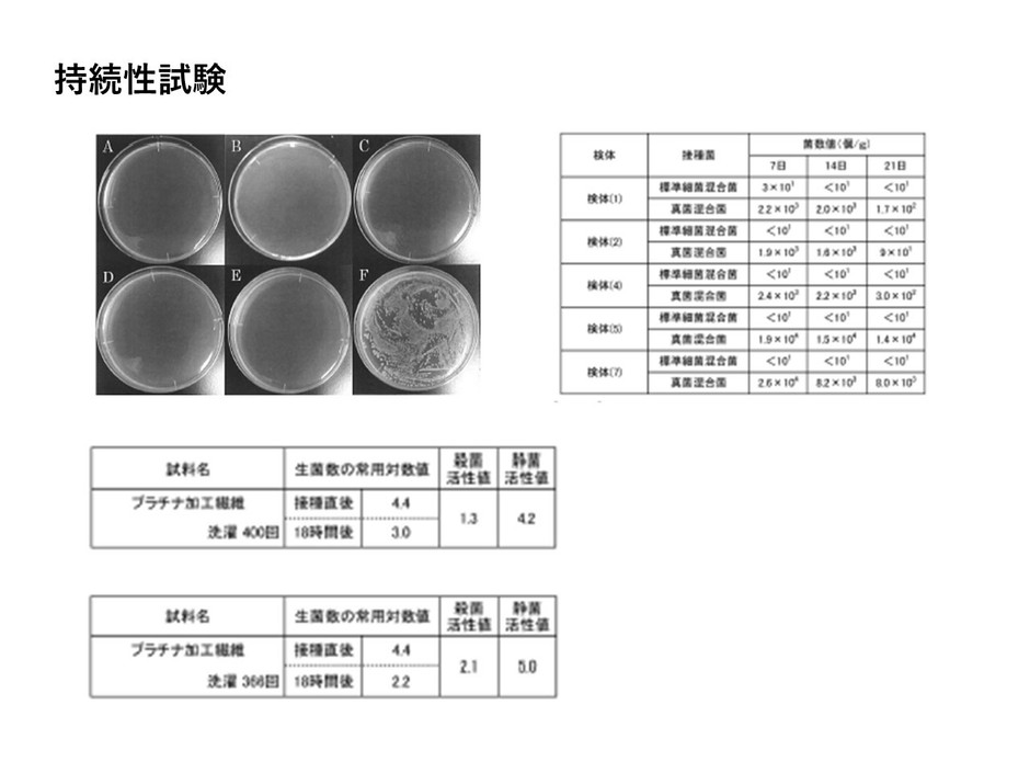 持続性試験