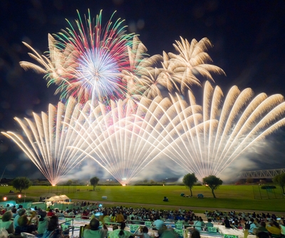 とりで利根川大花火で打ち上がった花火