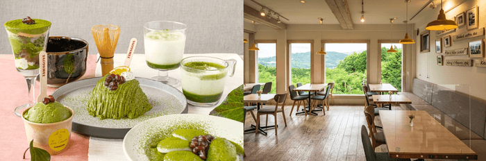 静岡県産抹茶のスイーツ・ドリンク/TAMAGOYAベーカリーカフェ店内