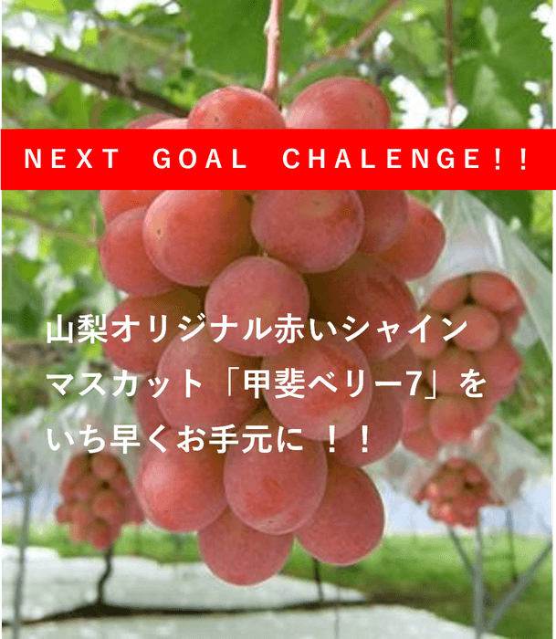 山梨県オリジナル 甲斐ベリー7
