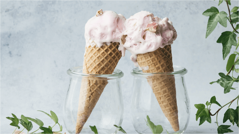 マツコの知らない世界で話題の「アイス」をふるさと納税で貰おう