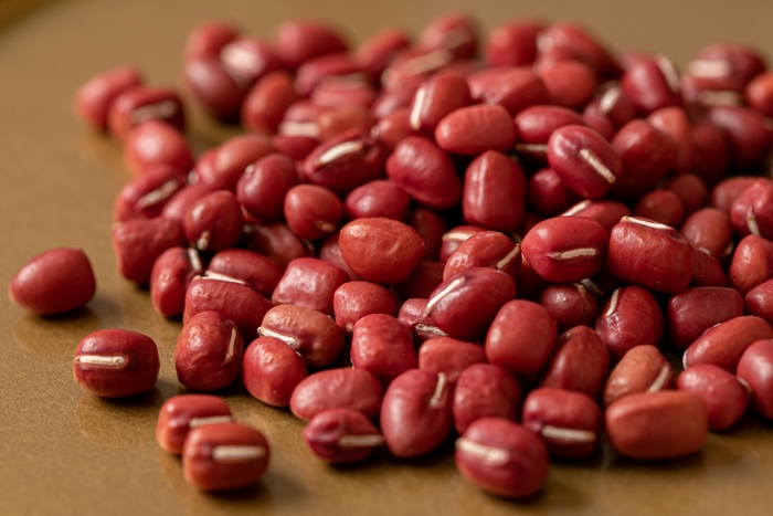 全国流通0.1%しかない超希少な出雲大納言小豆