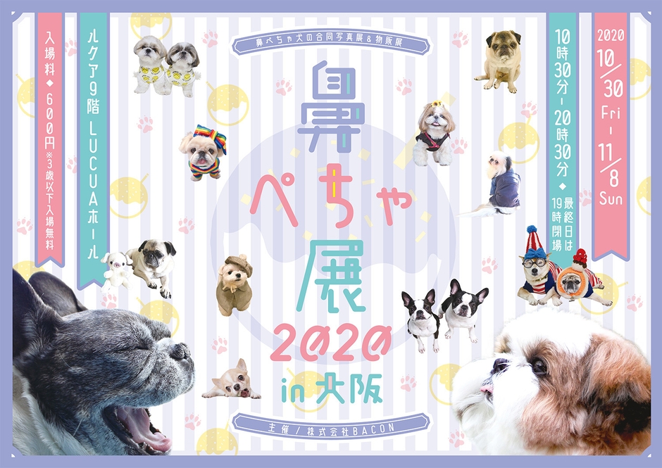 「鼻ぺちゃ展 2020 in 大阪」キービジュアル