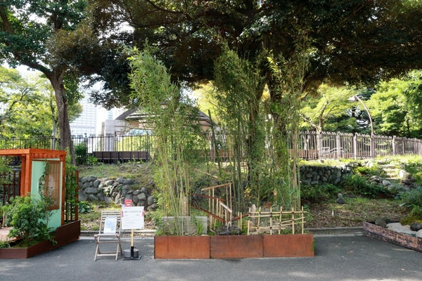 2024年度東京都知事賞 ≪郷愁　どこかなつかしい庭≫　有限会社 季織苑