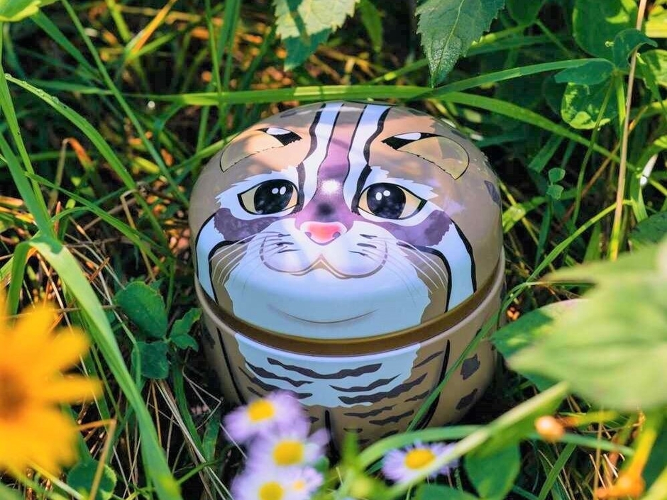 対馬のお茶入り とらやま缶/税込価格: 2,700 円