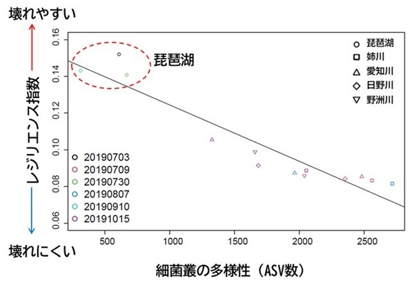  図2　レジリエンス指数の琵琶湖及び流入4河川間の比較。無作為（ランダム）絶滅シナリオという最も基本的な設定下での生態系シミュレーションの結果による。