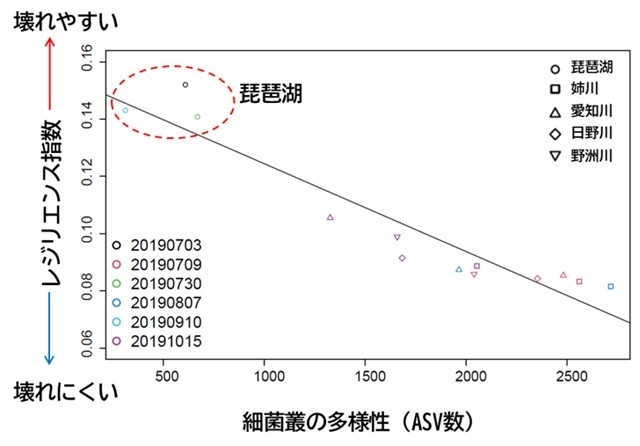 図2 レジリエンス指数の琵琶湖及び流入4河川間の比較。無作為(ランダム)絶滅シナリオという最も基本的な設定下での生態系シミュレーションの結果による。