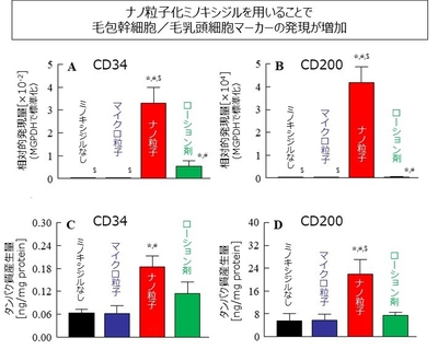 図4 (A、B)遺伝子発現量および(C、D)タンパク質産生量の評価 N=8-13、*p < 0.05 vsミノキシジルなし,#p < 0.05 vsマイクロ粒子、$p < 0.05 vsローション剤 出展:Biol. Pharm. Bull., 47(12), 2024.(一部改変)