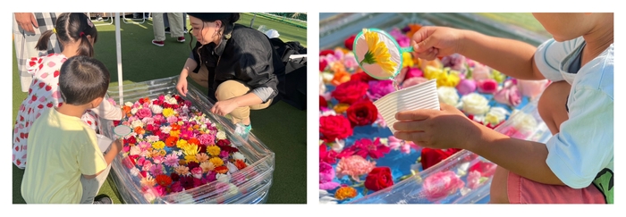 お花すくい フラワーロスたちのプール