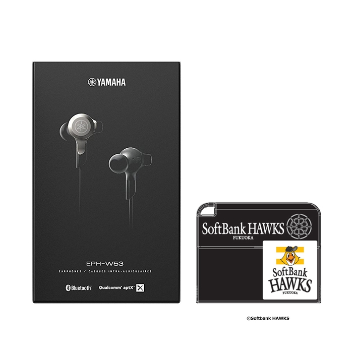 福岡ソフトバンクホークスモデル