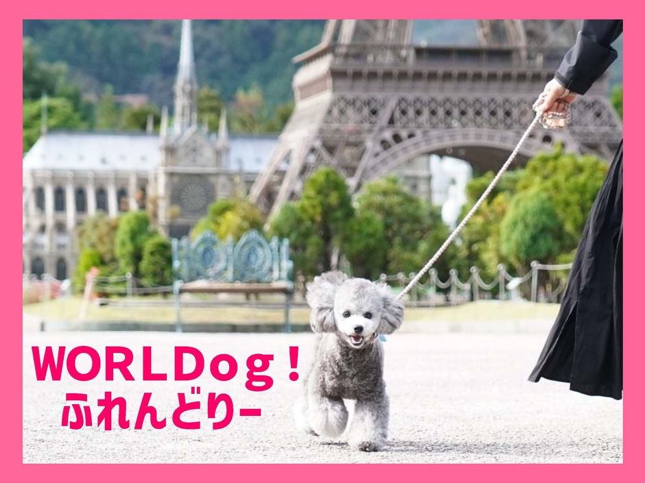 WORLDog!ふれんどりー
