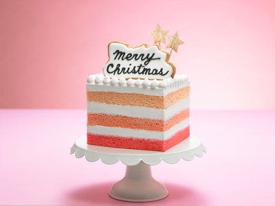 『タンデコロリ』Happy Merry Christmas! 5,400円
