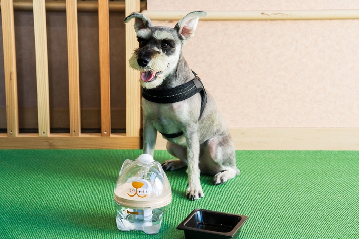 愛犬の飲み水にも配慮
