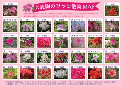 散策MAP