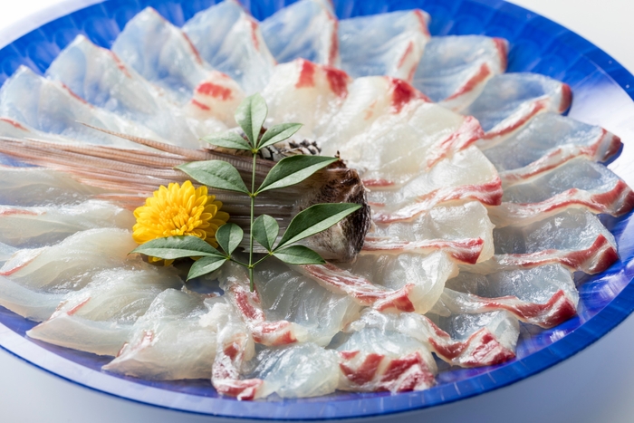 活〆真鯛刺身