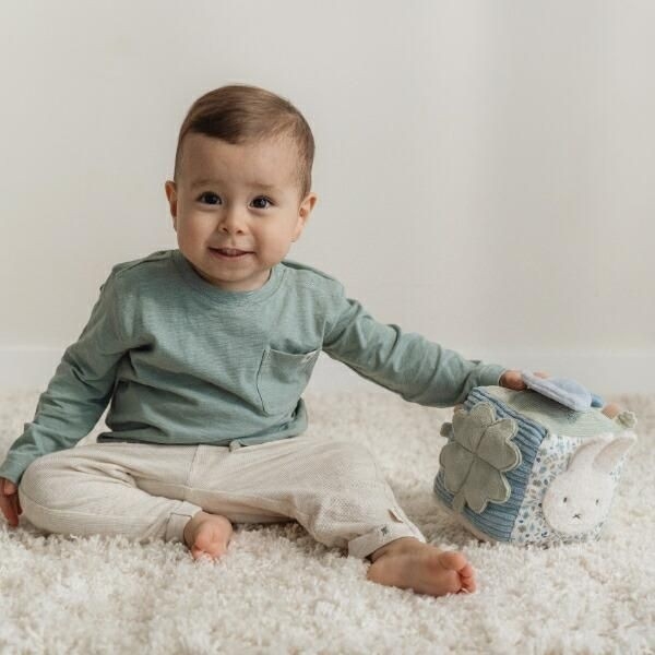 ミッフィーのキューブトイ