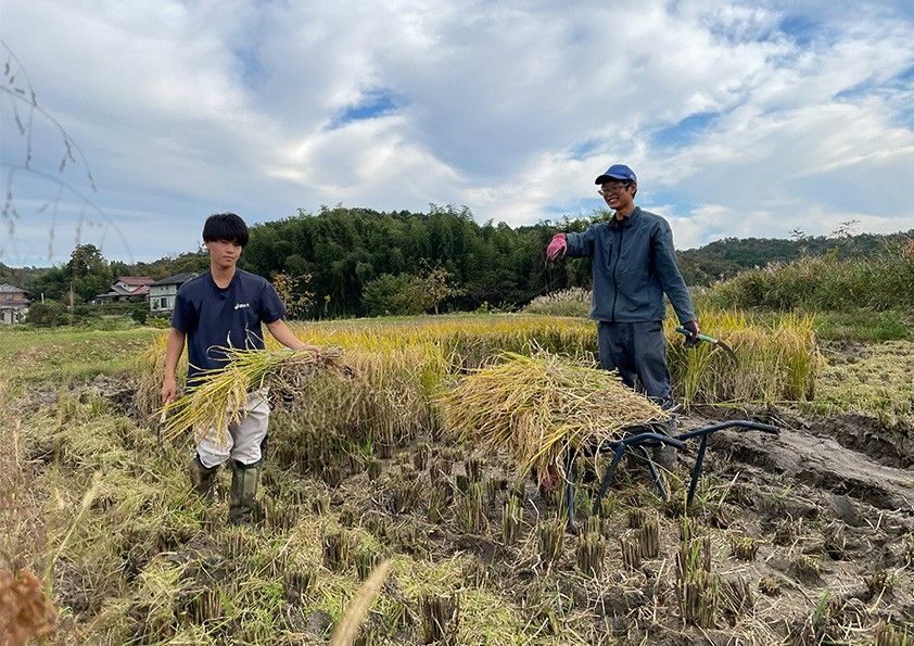 【米の生産（1次産業）】