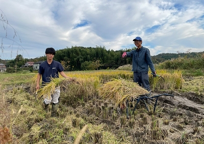 【米の生産(1次産業)】