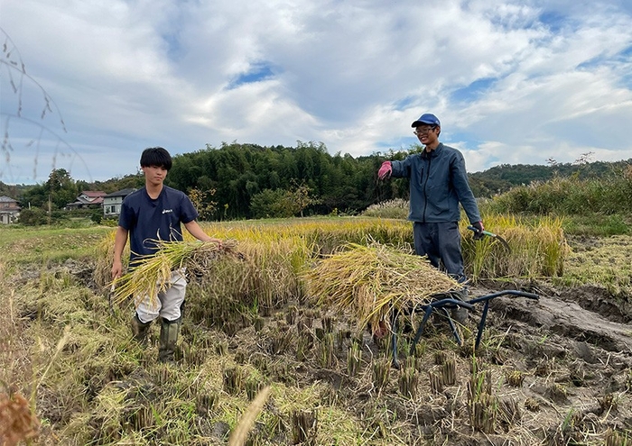 【米の生産(1次産業)】