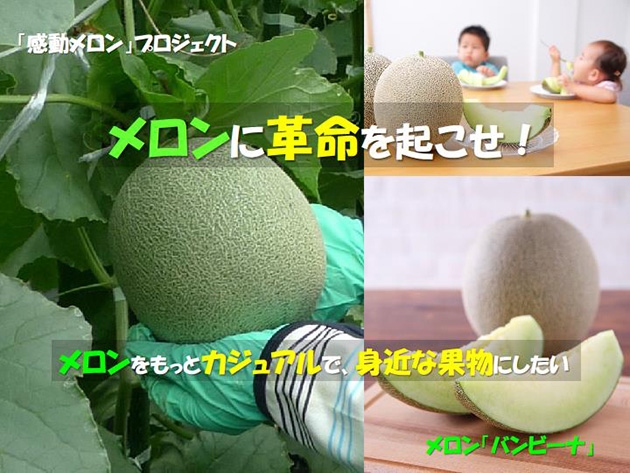 メロンに革命を起こせ！「感動メロン」プロジェクト