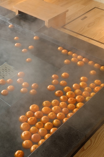 特産品の柑橘類もお愉しみいただけます(イメージ)