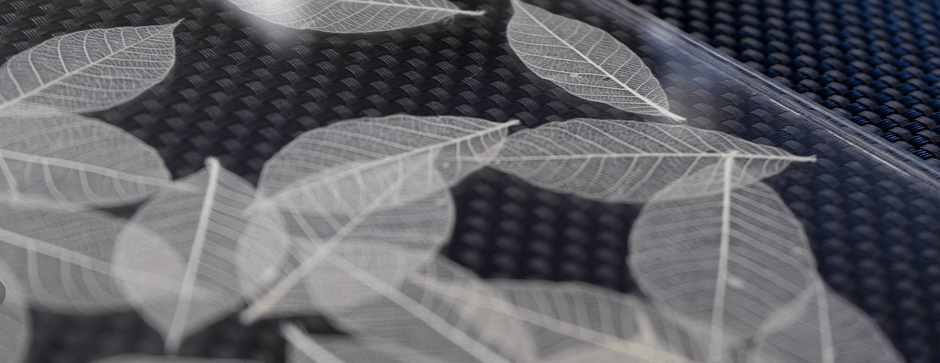 2枚のアクリル板で挟んだスケルトンリーフ