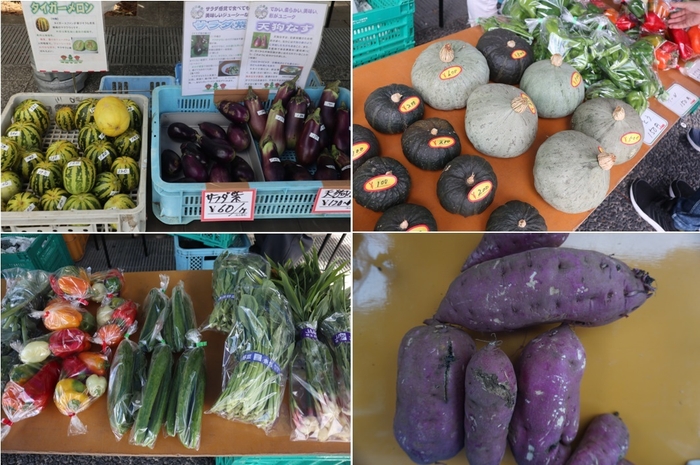 みなとみらい縁市 県内農家 野菜