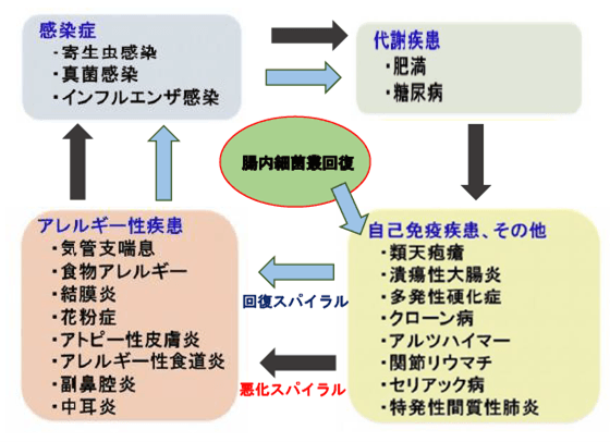 腸内細菌叢異常が疾患の根本原因