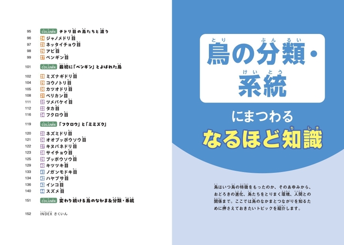 『鳥のなかま＆分類・系統図鑑』もくじ②