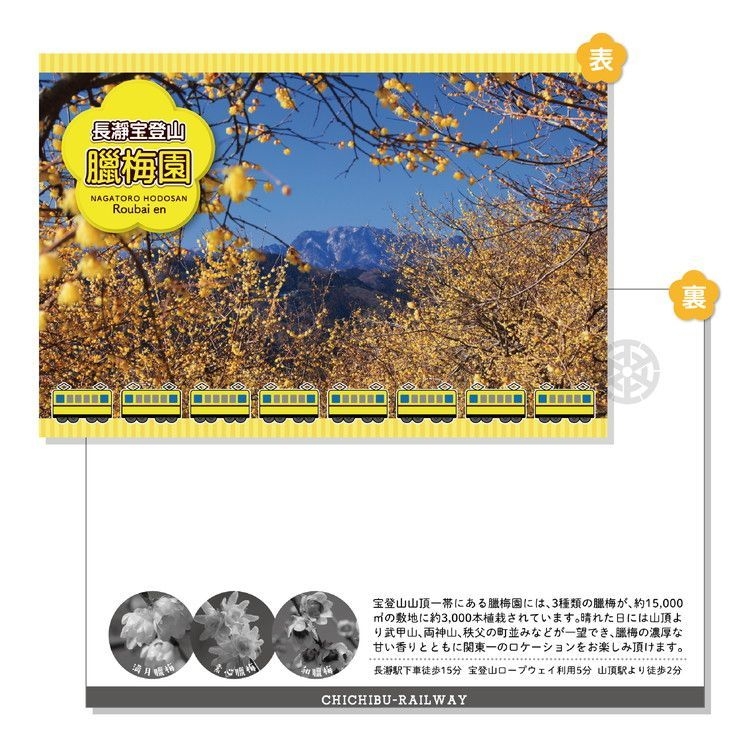 ロウバイポストカードイメージ