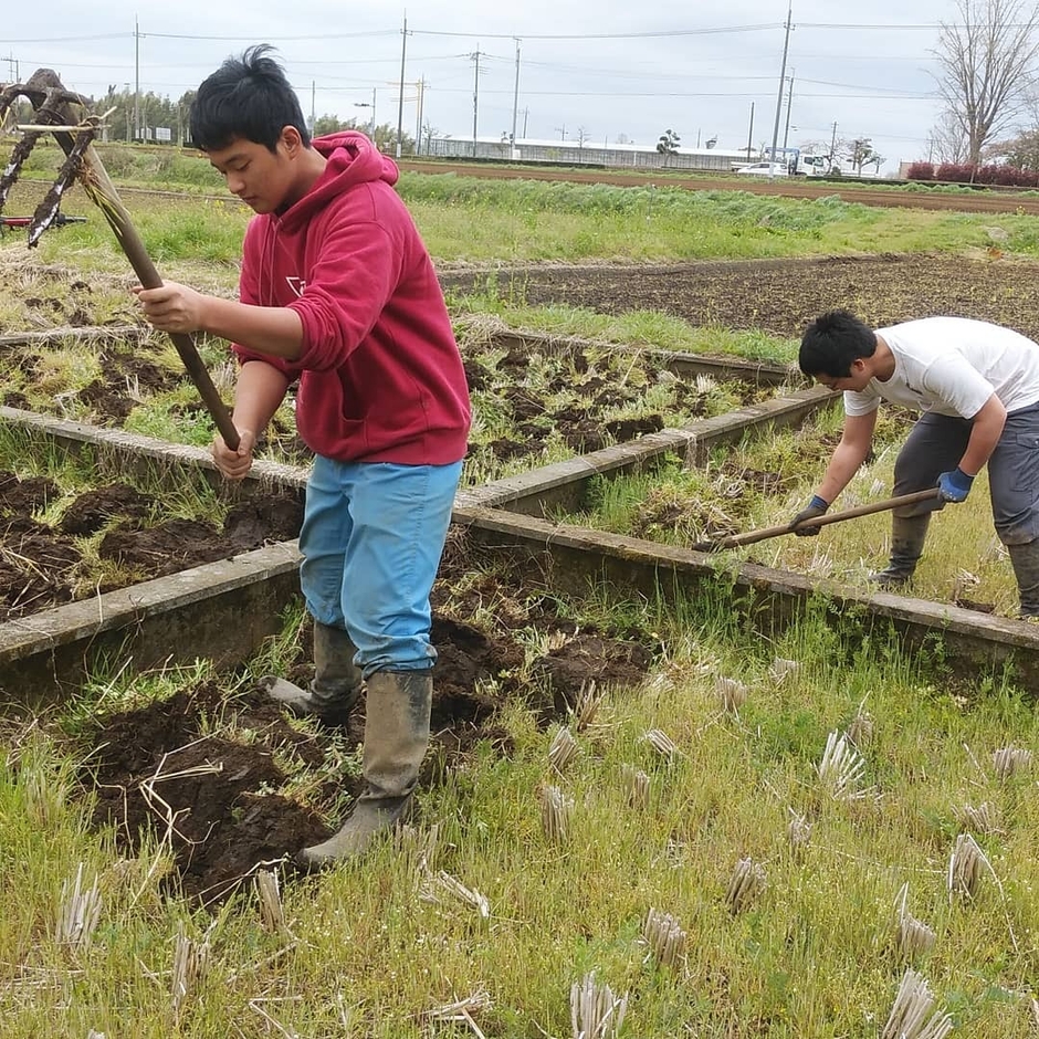 日本農業実践学園　実習風景3