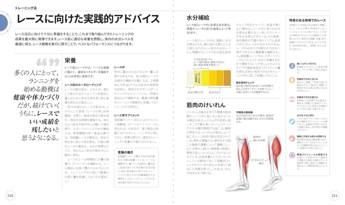 トレーニング法　レースに向けた実践的アドバイス