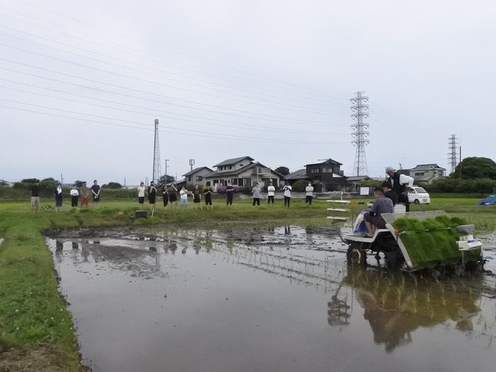 田植え機で植える体験も