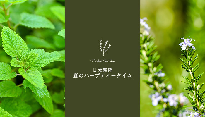 日光国立公園内、標高1,000メートルの避暑地 【大江戸温泉物語 日光霧降】自分で摘んだフレッシュハーブで入れるお茶を楽しむネイチャーアクティビティがスタート!