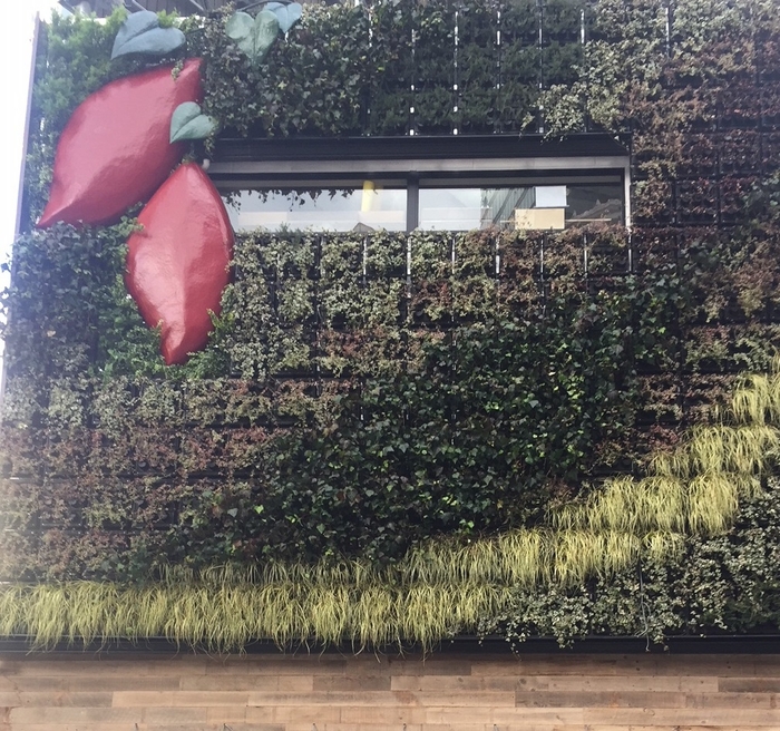 店舗外壁はWall greening