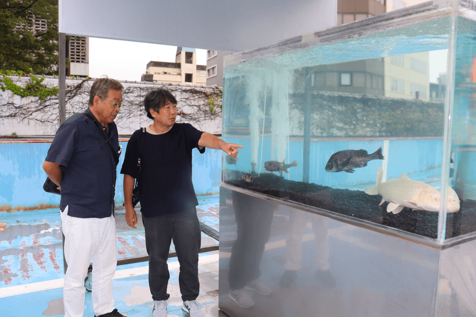 プールとは別にネズミフグとチヌ（クロダイ）、プラチナニシキゴイが泳ぐ水槽を見つめる（左から）山本准教授と島袋さん