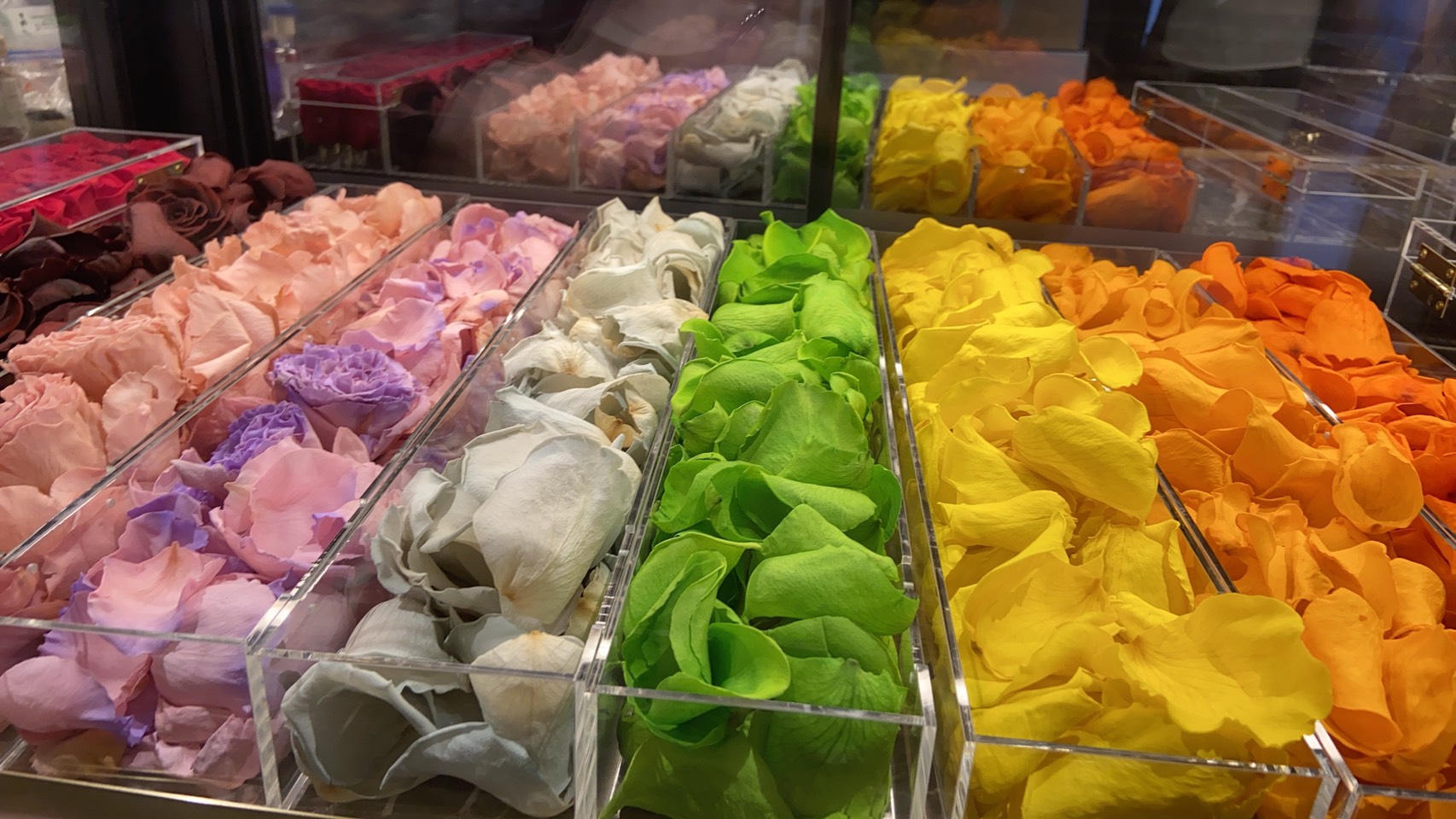 廃棄されてしまうバラを再活用！？ 目の前でバラが生まれ変わる新