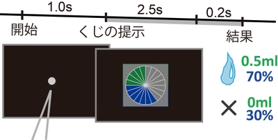 図１．ギャンブル課題