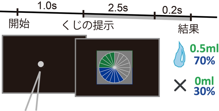 図１．ギャンブル課題