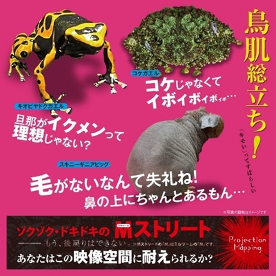 「キモい展2022 in 横浜」イメージ2