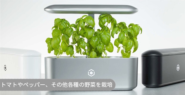 色々な野菜を栽培