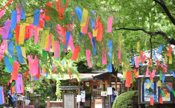 七夕飾り（過年度の様子：小石川後楽園）