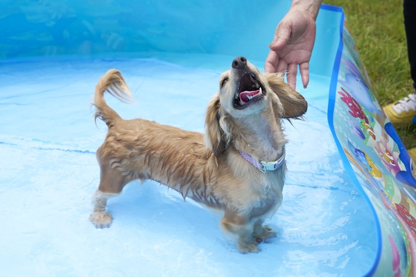 温泉でも、冷水でも、気温に合わせてお選びいただけます！