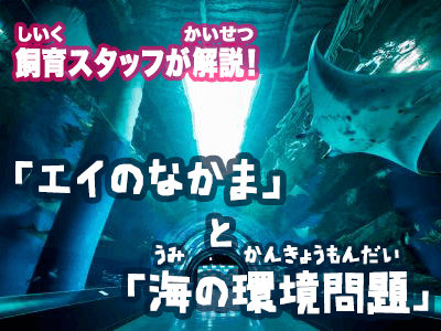 プログラム提供:株式会社横浜八景島