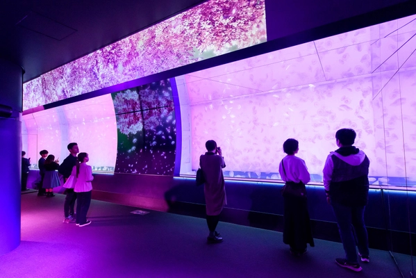 【アクアワールド茨城県大洗水族館】春の訪れ感じる水族館、海の生き物たちとの素敵な出会いが待っている！ アクアワールド・大洗で春休みを満喫しよう♪