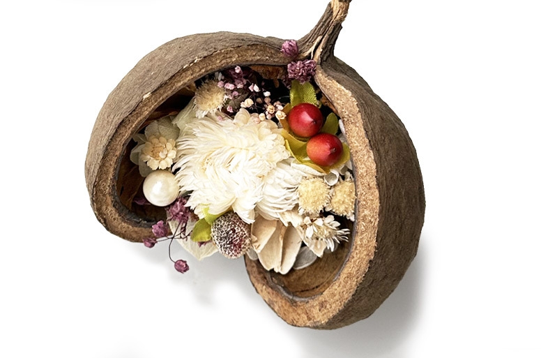 お祝い電報『幸せを呼ぶ幸福の実 ブッタナッツW』