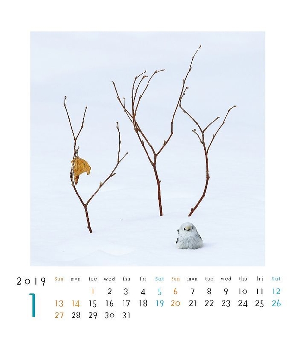 シマエナガさんの12ヵ月 カレンダー 2019(1月)