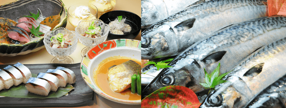 全店共通メニュー 極上さば料理コース ¥3,800(税込)