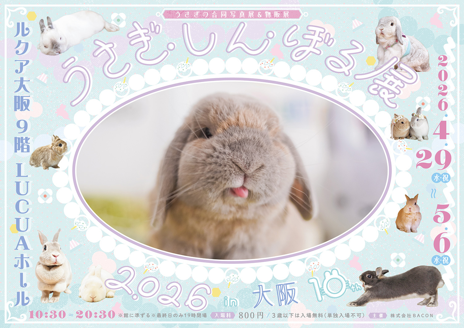 うさぎしんぼる展 キービジュアル(横)